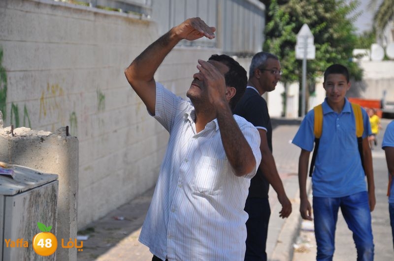 cat lud 910 (40).JPG